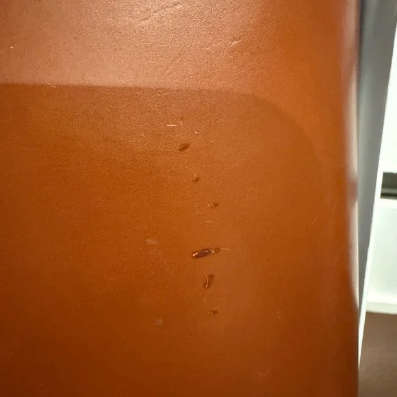 Dooney & Bourke Alto Large Double Zip Organizer Wallet - Picture 6 of 6